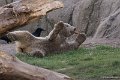 _DSC7013