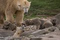 _DSC7094