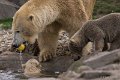 _DSC7097