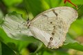 _DSC7212
