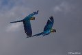 _DSC7273
