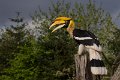_DSC7368