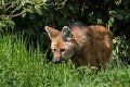 _DSC7685
