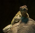 _DSC7829