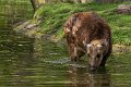 _DSC7851