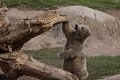 _DSC7886