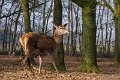 _DSC3418