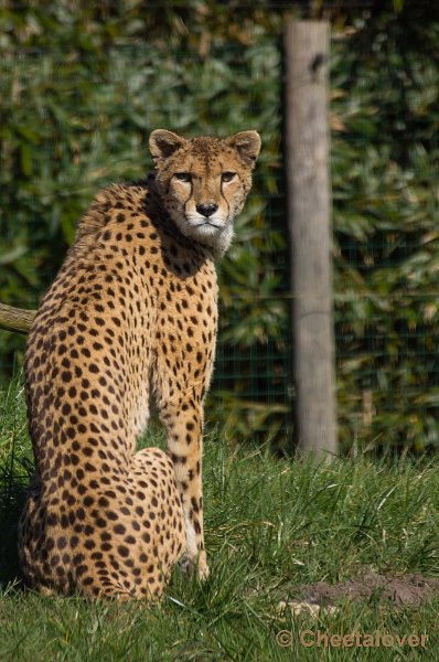 _DSC4788.JPG - Zoo Parc Overloon