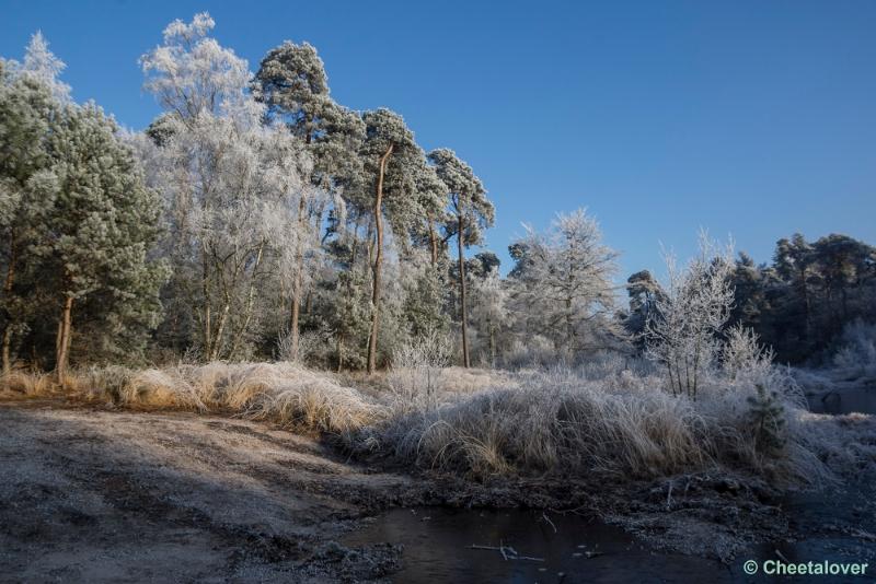 _DSC0077.JPG - Oisterwijkse Vennen en Plassen in een wintersfeertje