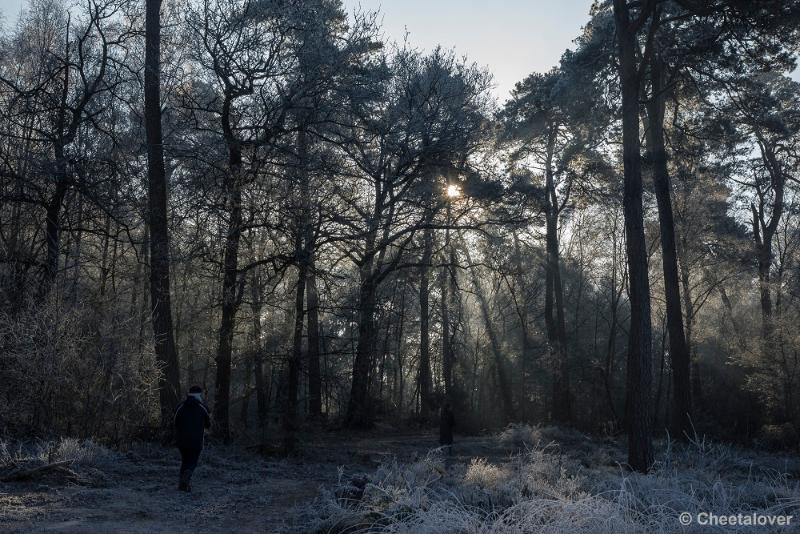 _DSC0120.JPG - Oisterwijkse Vennen en Plassen in een wintersfeertje