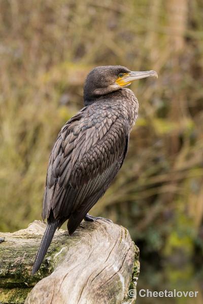 _DSC0009.JPG - Dortmund Zoo