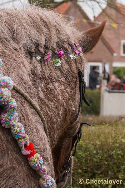 _DSC1183.JPG - Strao Serooskerke 19 maart 2016