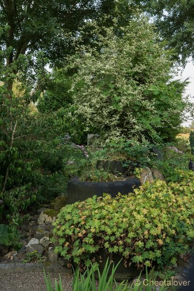 _DSC0113.JPG - Siertuin Het Arendsnest, Lozen, België