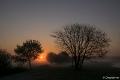 DSC00021