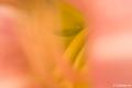 DSC00069