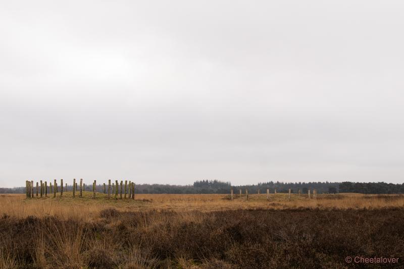 DSC00012.JPG - Regte Heide en Riels Hoefke