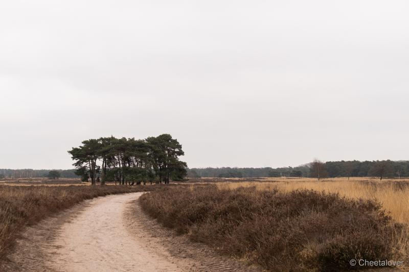 DSC00016.JPG - Regte Heide en Riels Hoefke