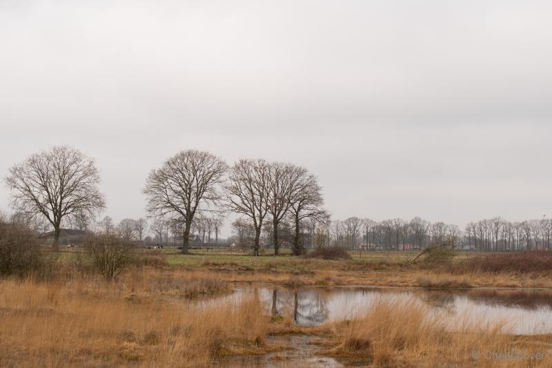 DSC00052.JPG - Regte Heide en Riels Hoefke