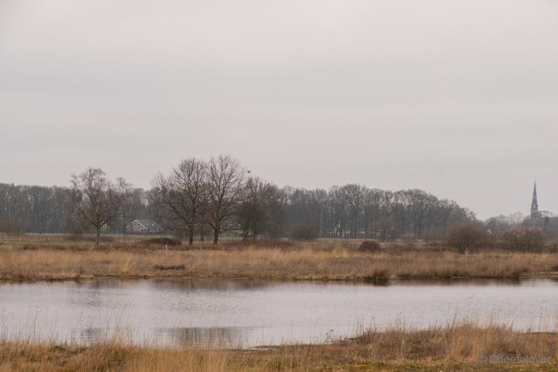 DSC00055.JPG - Regte Heide en Riels Hoefke