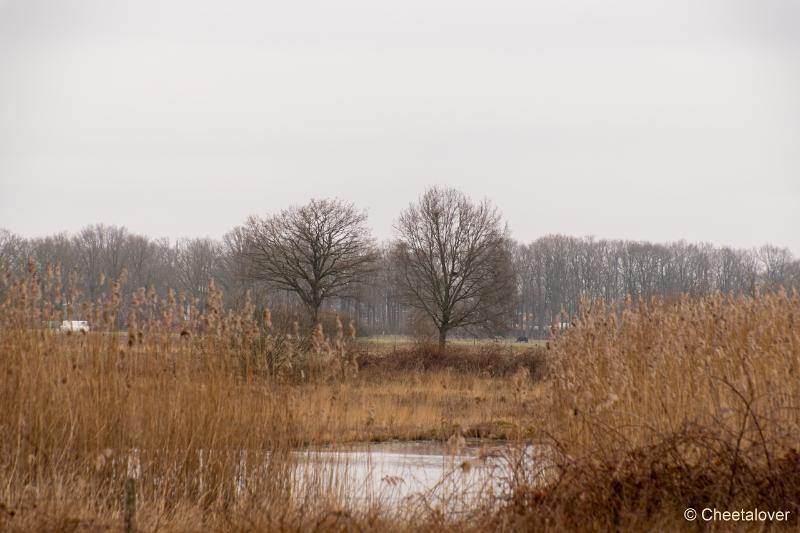 DSC00069.JPG - Regte Heide en Riels Hoefke