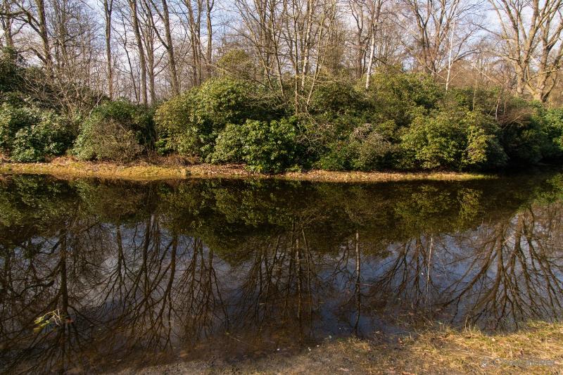 DSC00120.JPG - Regte Heide en Riels Hoefke