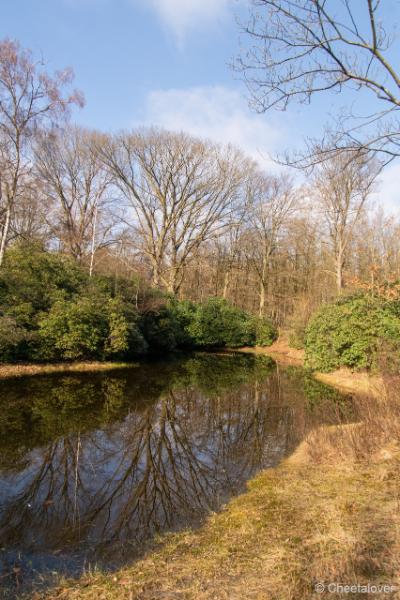 DSC00122.JPG - Regte Heide en Riels Hoefke