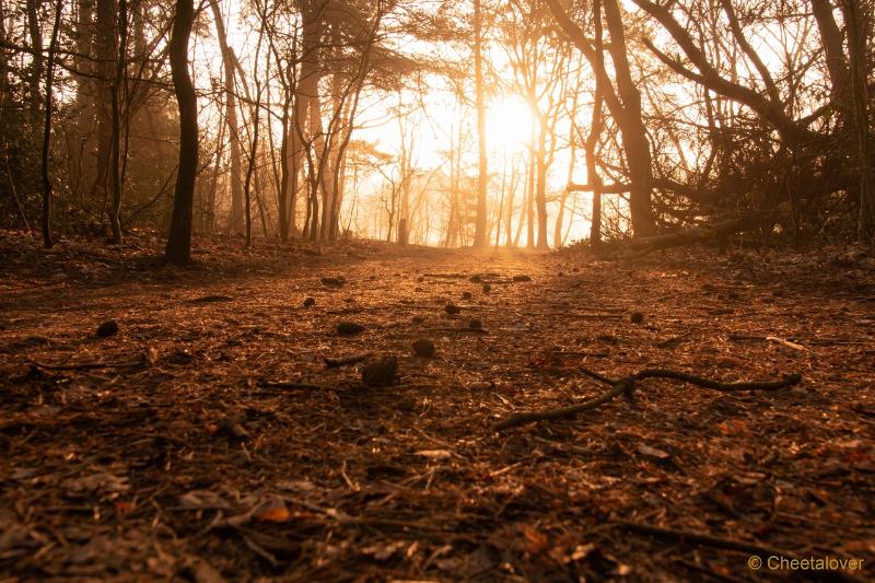 DSC00075.JPG - Zonsopkomst Regte Heide aan Rielse Dijk