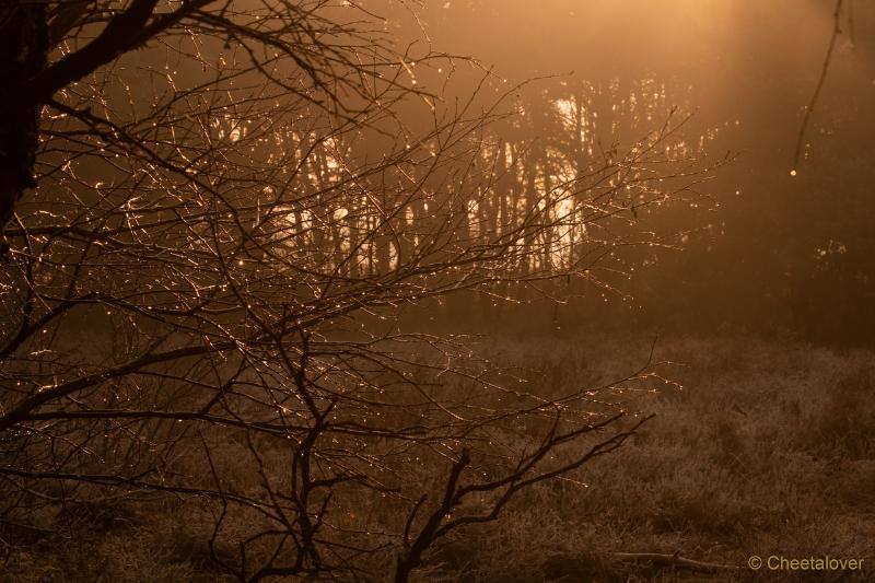 DSC00097.JPG - Zonsopkomst Regte Heide aan Rielse Dijk