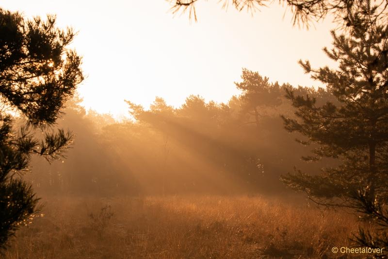 DSC00099.JPG - Zonsopkomst Regte Heide aan Rielse Dijk