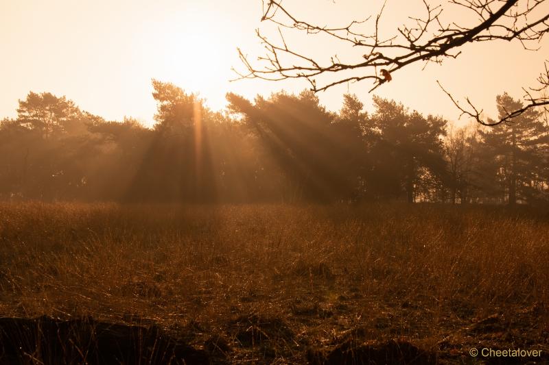 DSC00103.JPG - Zonsopkomst Regte Heide aan Rielse Dijk