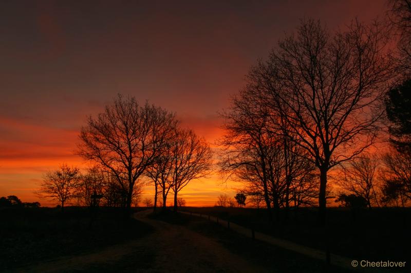 DSC00012.JPG - Zonsopkomst Regte Heide