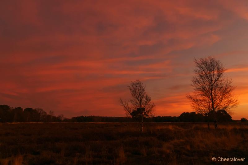 DSC00019.JPG - Zonsopkomst Regte Heide