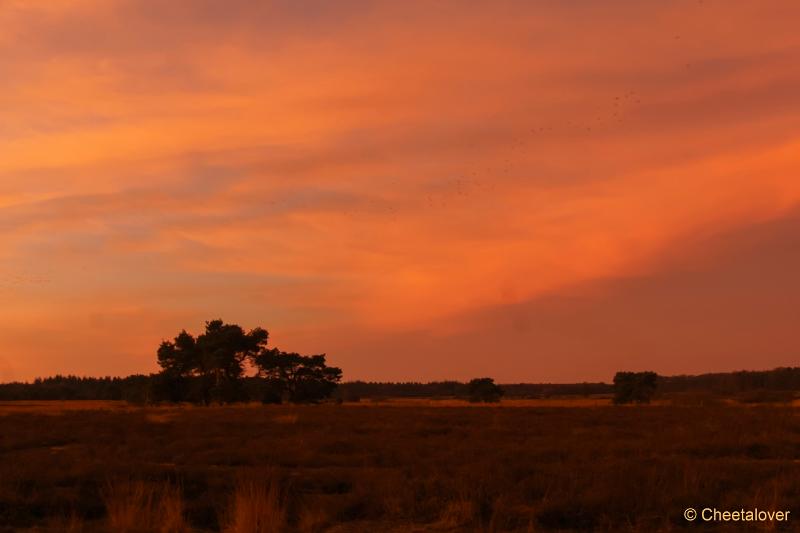 DSC00021.JPG - Zonsopkomst Regte Heide