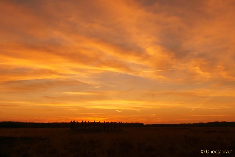 DSC00022.JPG - Zonsopkomst Regte Heide