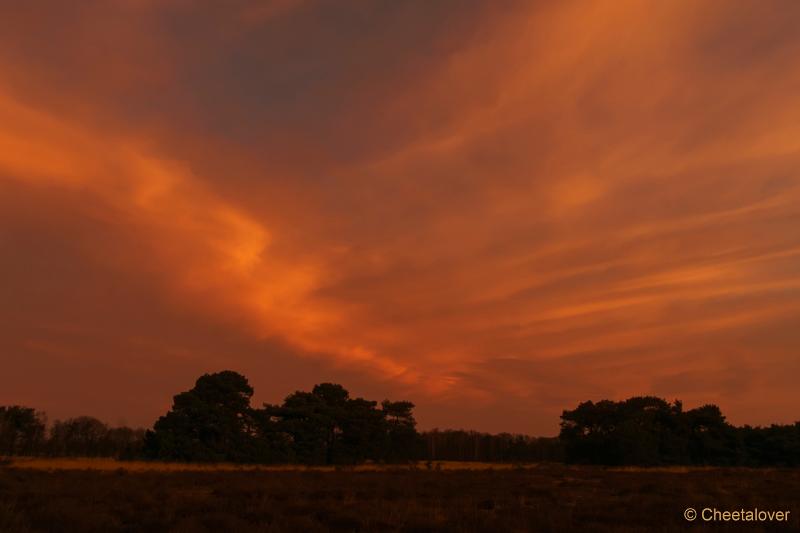 DSC00023.JPG - Zonsopkomst Regte Heide