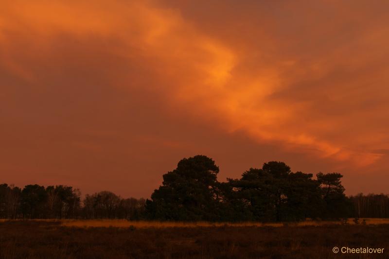 DSC00025.JPG - Zonsopkomst Regte Heide