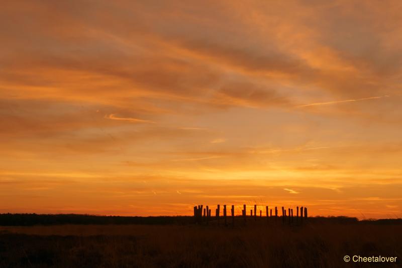 DSC00028.JPG - Zonsopkomst Regte Heide