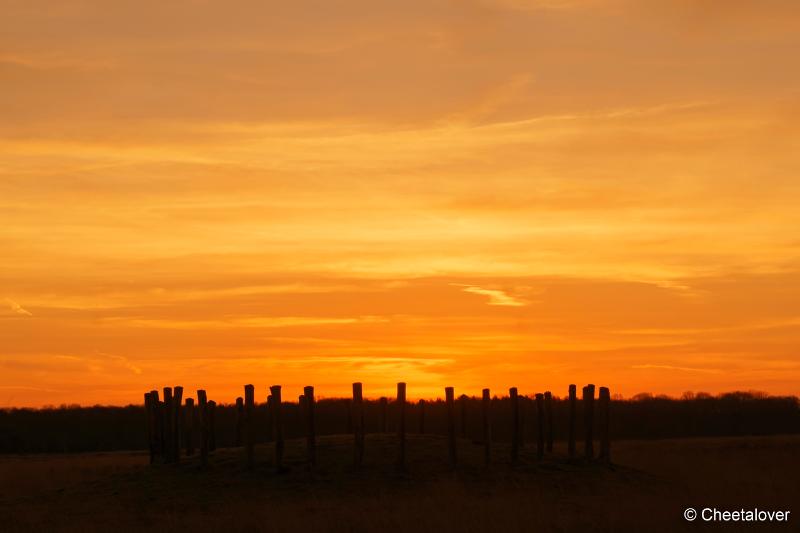 DSC00031.JPG - Zonsopkomst Regte Heide