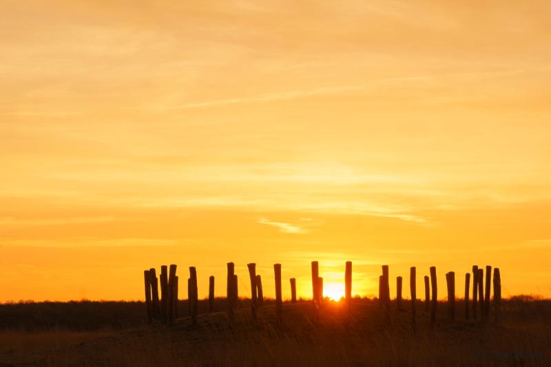 DSC00040.JPG - Zonsopkomst Regte Heide