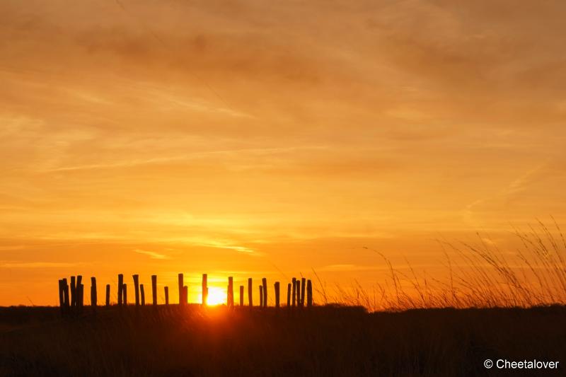 DSC00047.JPG - Zonsopkomst Regte Heide