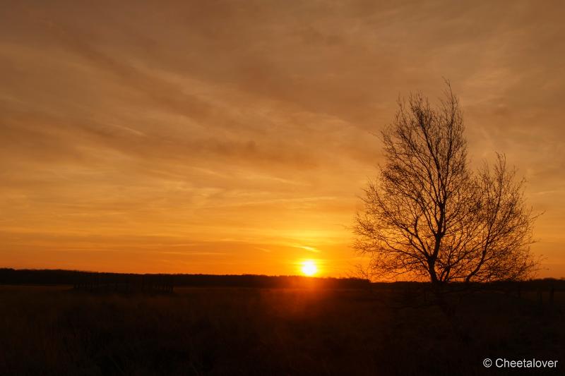 DSC00053.JPG - Zonsopkomst Regte Heide