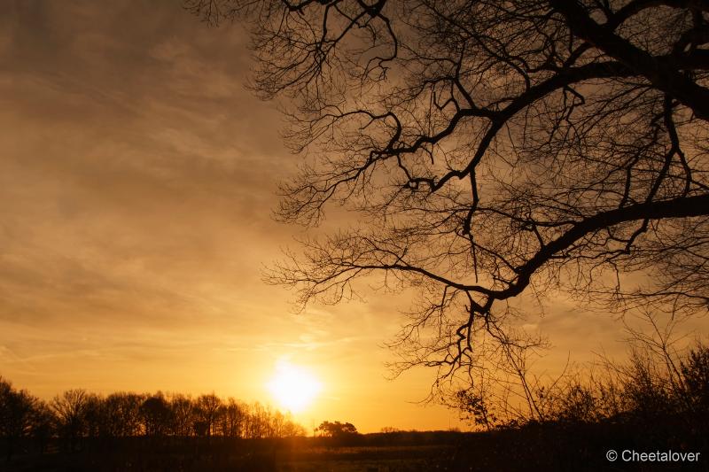 DSC00079.JPG - Zonsopkomst Regte Heide