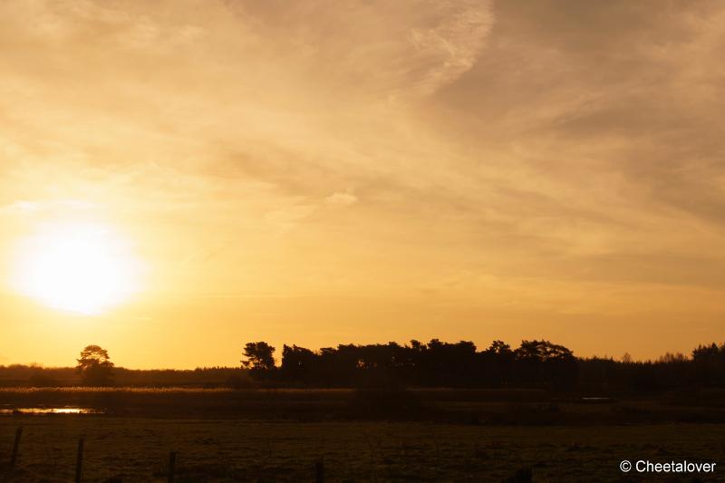 DSC00081.JPG - Zonsopkomst Regte Heide