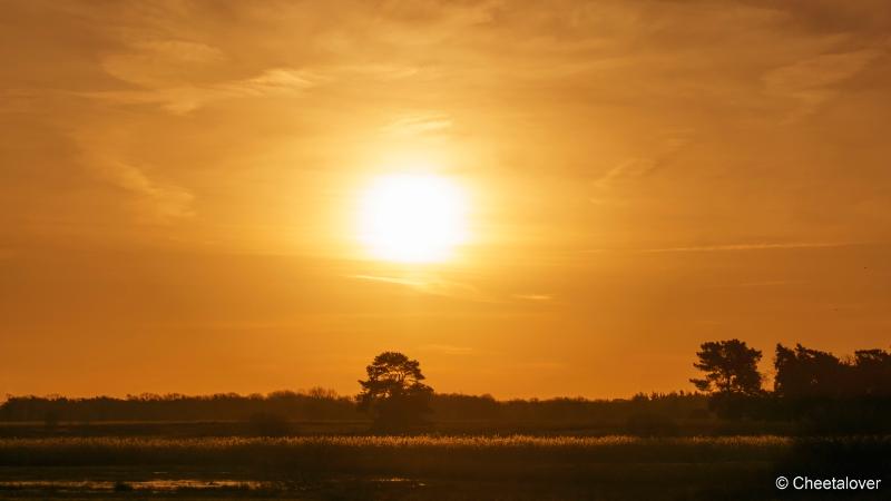 DSC00086.JPG - Zonsopkomst Regte Heide