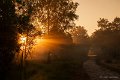 _DSC3363