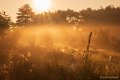 Regte Heide 2
