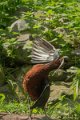 _DSC0105