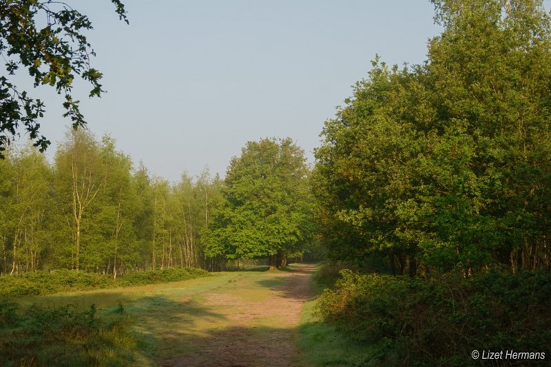 _DSC0189.JPG - Huis ter Heide