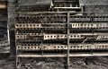 _DSC4924_5_6