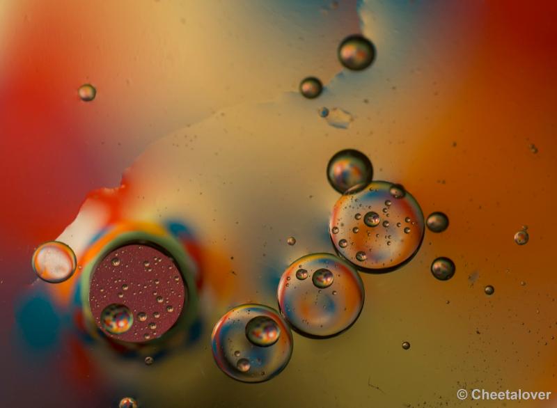 _DSC0008.JPG - Workshop met water en olie